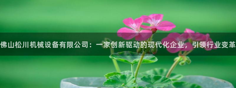 球盟会电子好黑