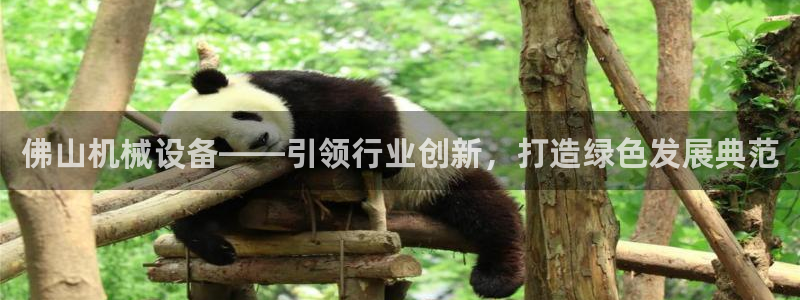 球盟会黑款吗知乎小说