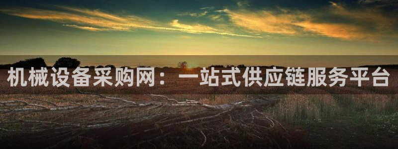 球盟会提款支付宝怎么样