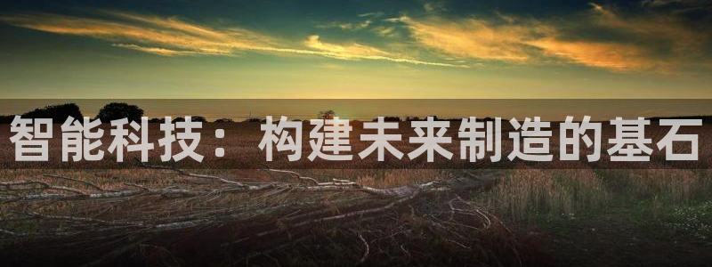 球盟会网页登录