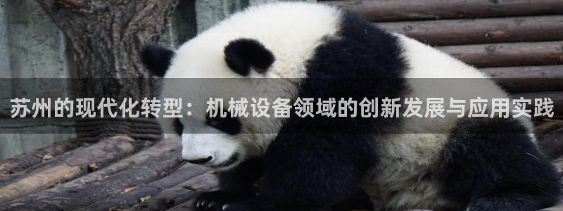 球盟会在线登录