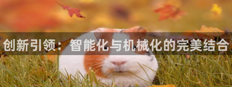 球盟会app手机登录