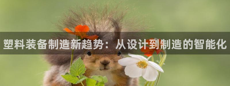 球盟会能提现吗