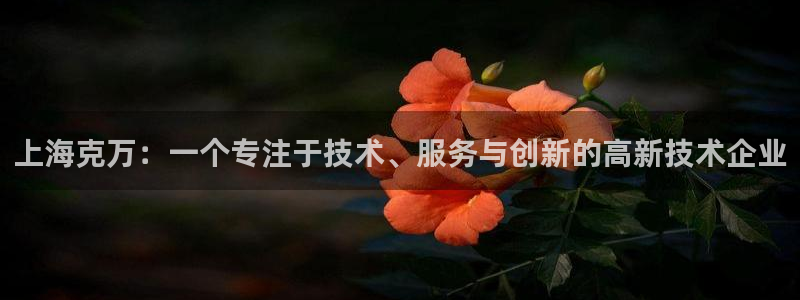 球盟会登录网址