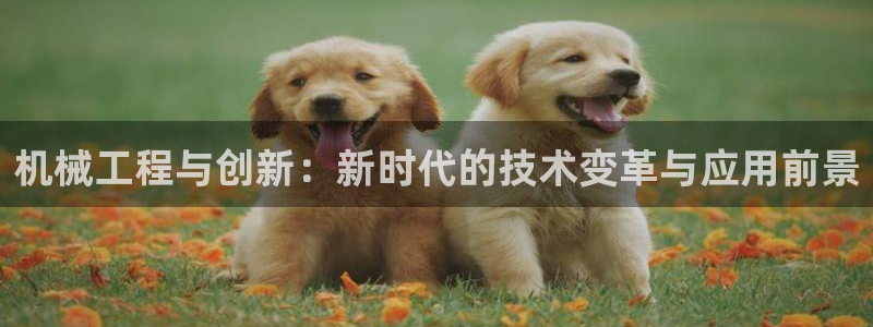 球盟会qmh电子网页版登录