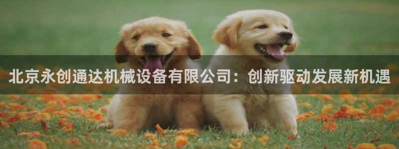 球盟会在线登录