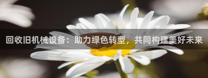 球盟会优惠券