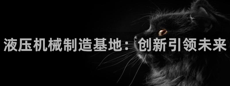 球盟会平台怎么样