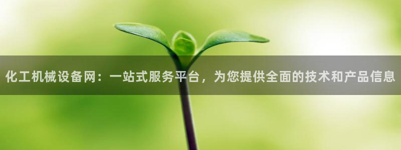 球盟会可以提现么