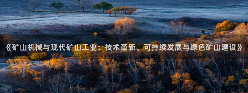 球盟会用的客服聊天是哪个软件