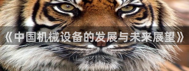 球盟会官方登录平台