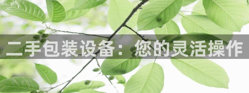 球盟会官方网站是什么