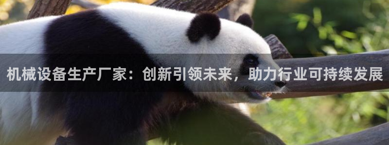 球盟会里面有打牌的嘛是真的吗