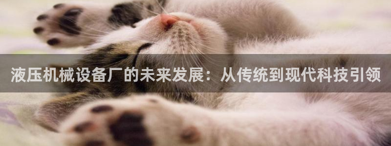 球盟会app手机登录