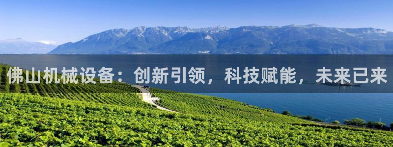 球盟会qmh电子网页版登录