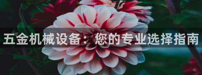 球盟会官方下载