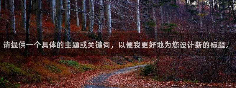 球盟会进不去吗