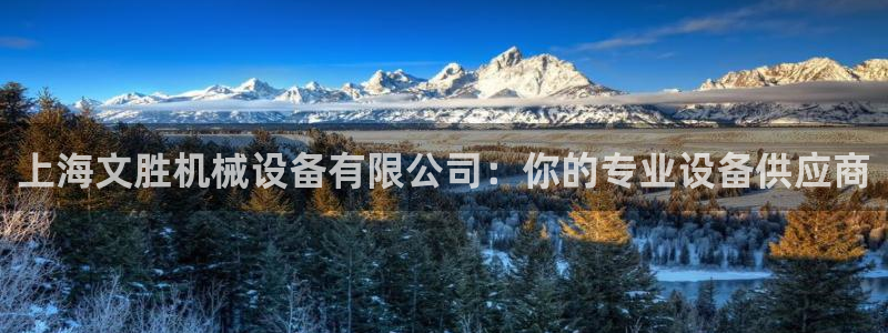 球盟会在线登录