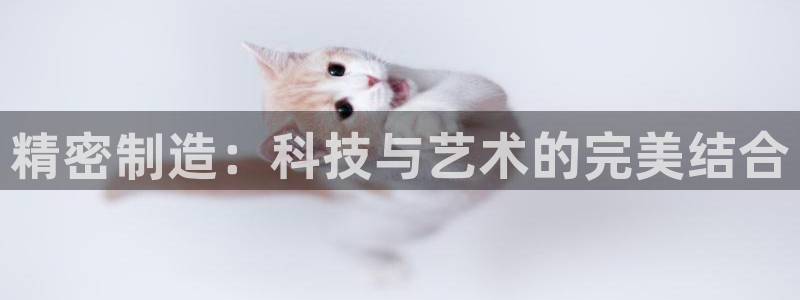 球盟会官方版下载地址