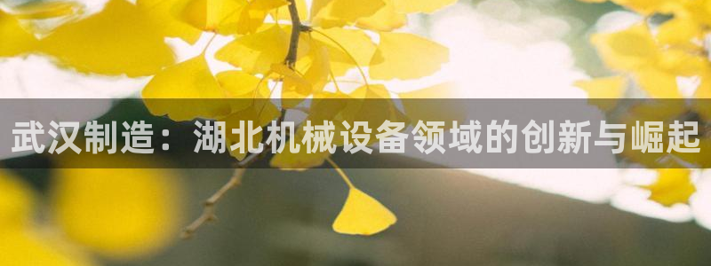 球盟会官方网站