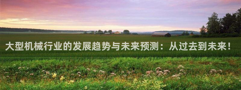 球盟会进不去球员吗