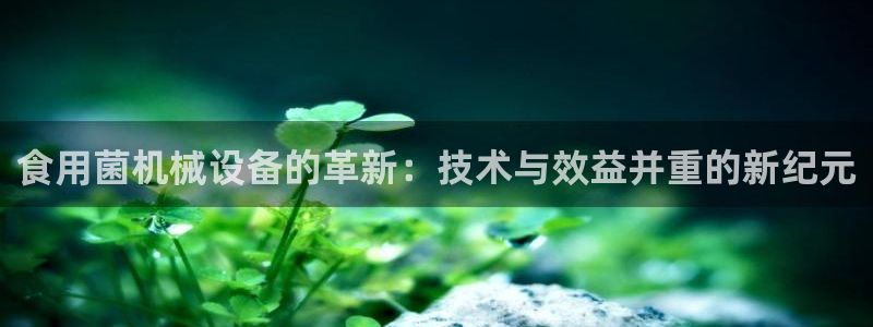 球盟会电子游戏平台