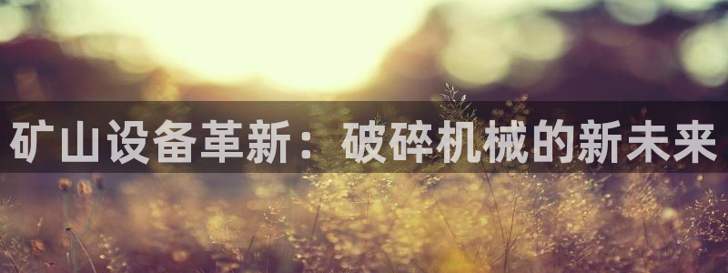 球盟会体育app官方网站