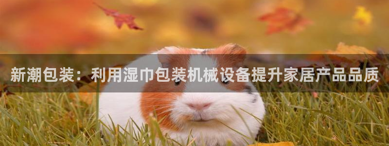 球盟会登陆中心