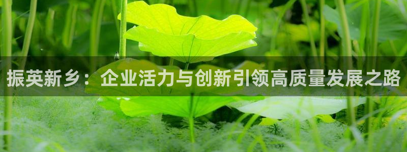 球盟会app网址多少号