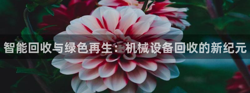 球盟会APP最新地址