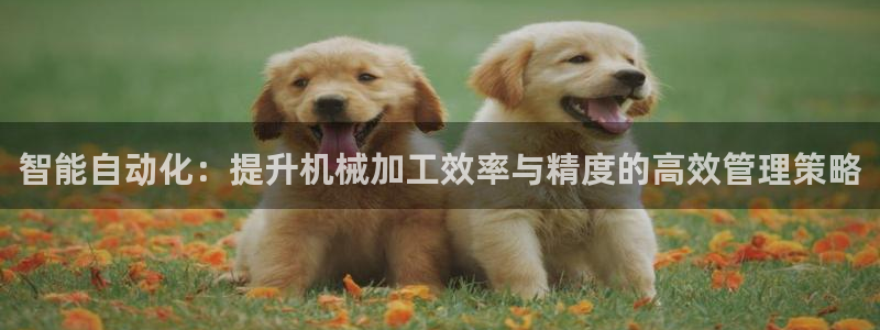 球盟会黑款吗还是白款