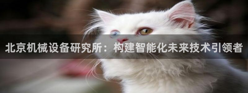 球盟会进不去吗