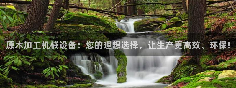 球盟会有限公司怎么样
