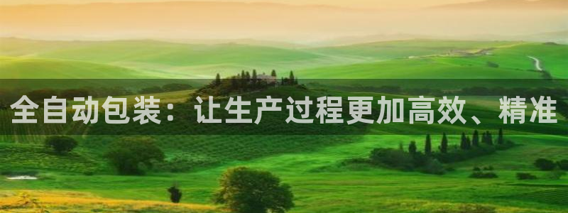 千亿球盟会乐玩