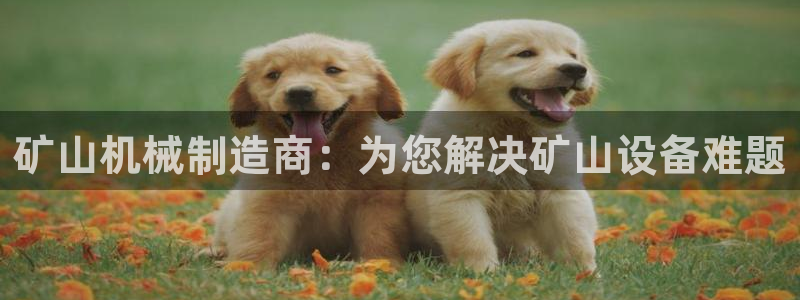 球盟会app最新地址下载