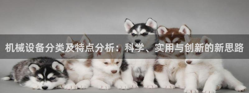 球盟会网址qm9 - 球盟会qmh网页版登录