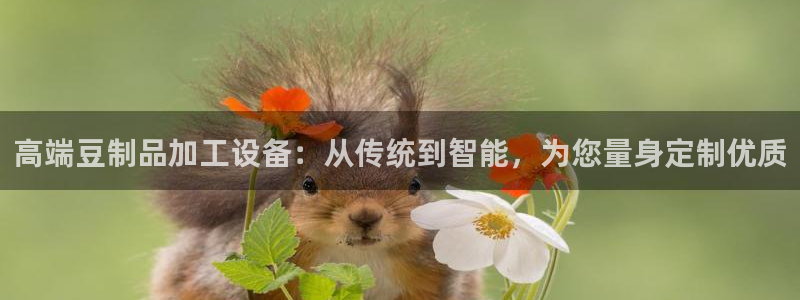 球盟会黑嘛
