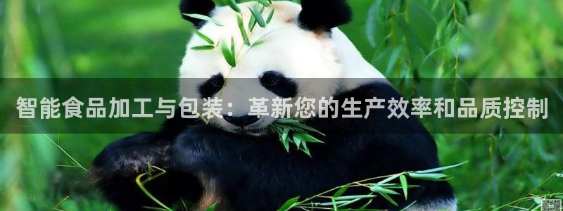 球盟会官方网站app