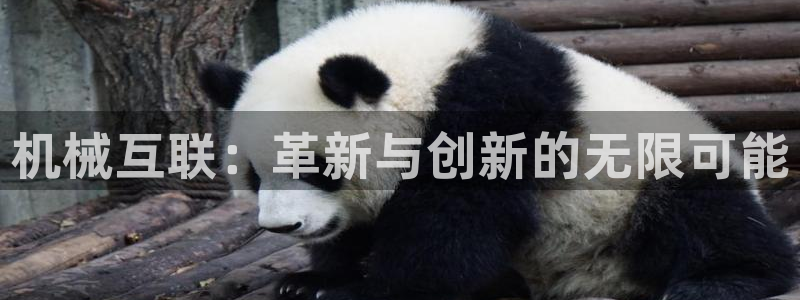 球盟会(中国)官方网站