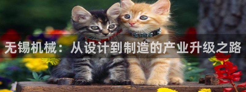 球盟会APP官网