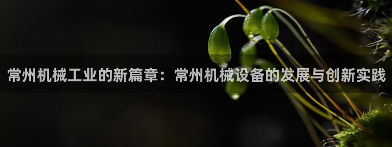 球盟会网页登录入口