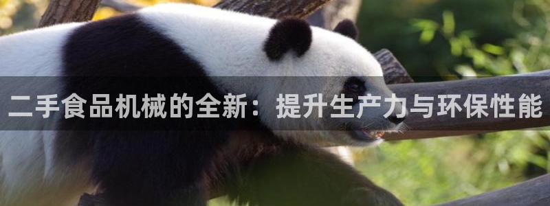 球盟会app安装