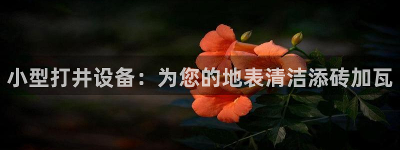 球盟会qmh网址