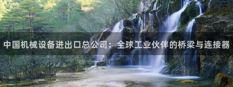 球盟会唯一