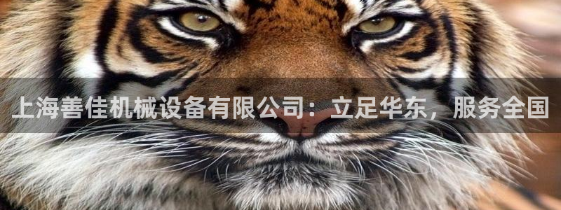 球盟会黑嘛