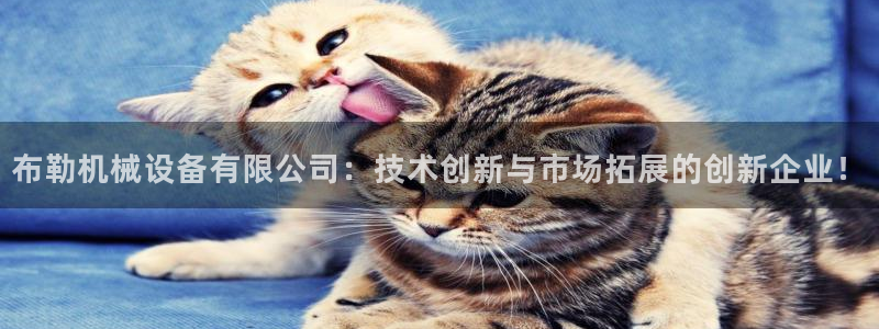 球盟会能退钱吗知乎