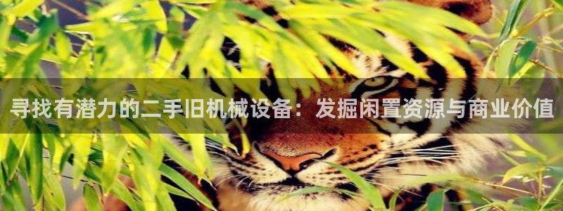 球盟会官网网页版
