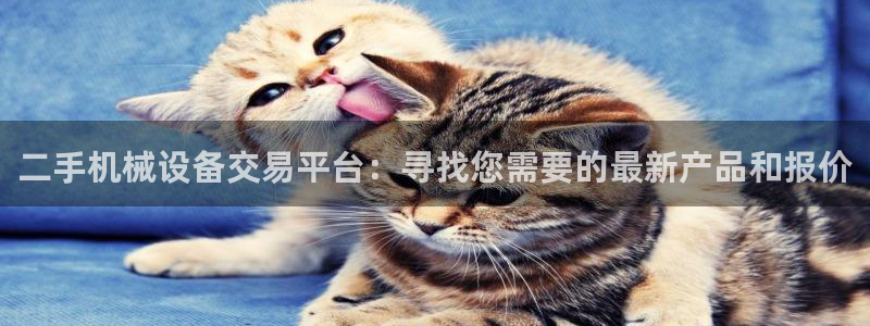 球盟会APP官网