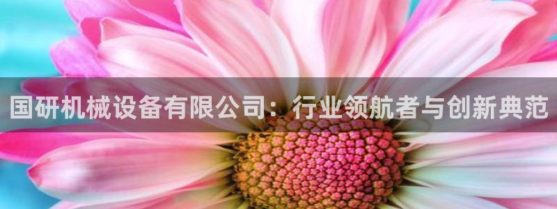 球盟会黑台