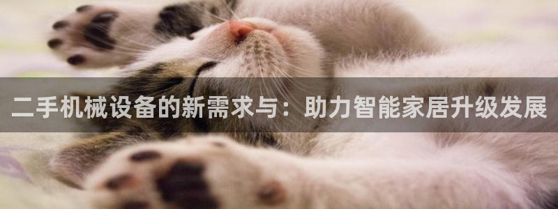 球盟会里面有打牌的嘛